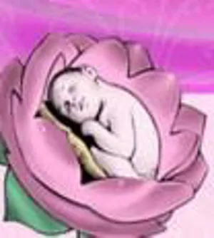 اولین کنگره طرح احیاء آموزش بالینی مامایی