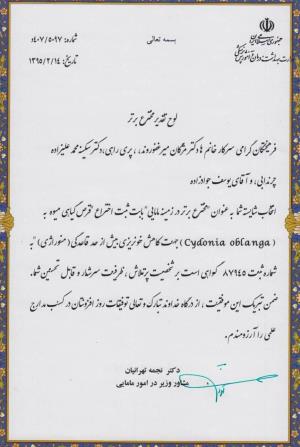 دریافت لوح تقدیر مخترع برتر در زمینه مامایی