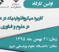 اولین کارگاه کاربرد میکروفلوئیدیک در علوم و فناوری برگزار خواهد گردید
