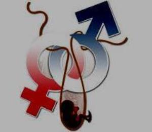 برنامه "مشاوره زوج نابارور" از سری برنامه های مدون مامایی آموزش مداوم