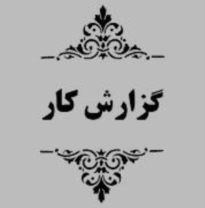 گزارش کار برنامه مدون "مشاوره زوج نابارور"