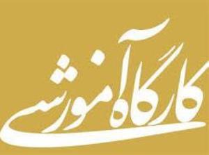 کارگاه آموزشی تحت عنوان "بررسی شاخصهای Consort در کارآزمایی بالینی"