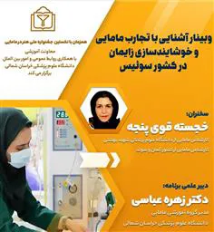 وبینار آشنایی با تجارب مامایی و خوشایندسازی زایمان در کشور سوئیس