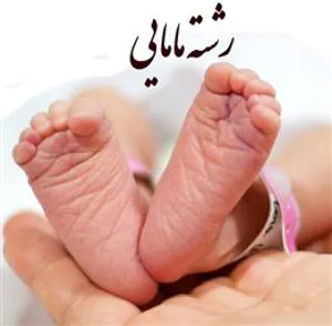 معرفی رشته مامایی بعنوان رشته جدید اجباری از سوی مدیریت منابع انسانی وزارت بهداشت