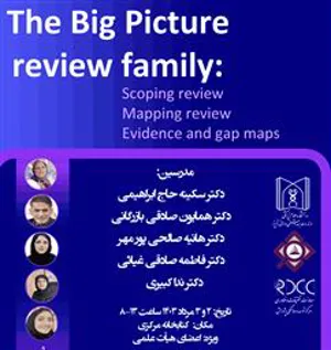 اطلاعیه برگزاری کارگاه The Big Picture review family