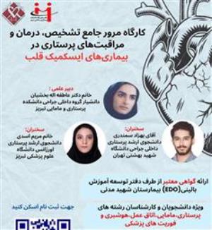 کارگاه مرور جامع تشخیص، درمان و مراقبت‌های پرستاری در بیماری‌های ایسکمیک قلب