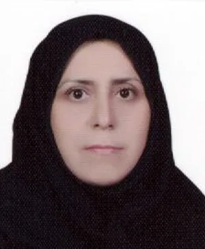Dr. Sakineh Mohammad-Alizadeh was selected as a top researcher