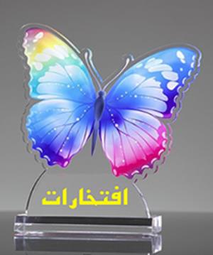 کسب افتخاری دیگر توسط هیات علمی محترم دانشکده، سرکار خانم دکتر مینا حسین زاده