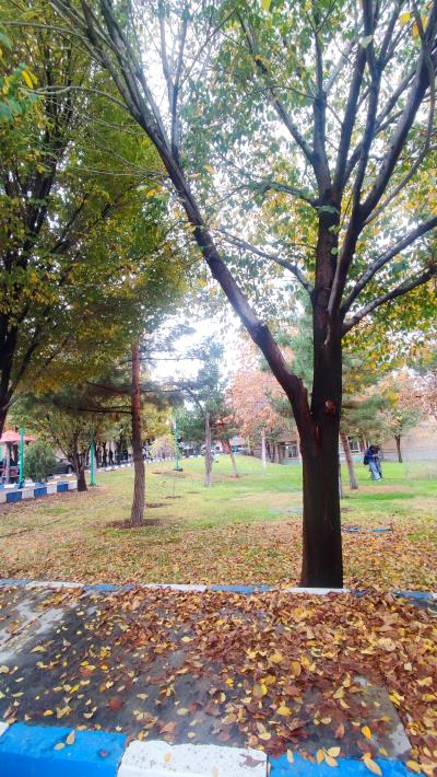 پاییز، این شاهکار خالق هستی، با هزاران رنگ و رایحه، دانشکده را به بوم نقاشی‌ای بی‌نظیر تبدیل کرده که هیچ هنرمندی توان رقابت با آن را ندارد.