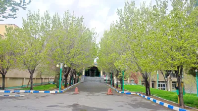   شکر آن را که دگربار رسیدی به بهار                         بیخ نیکی بنشان و ره تحقیق بجوی